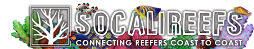 SoCaliReefs - Online Reefing Community
